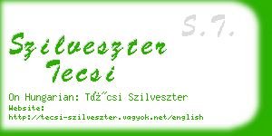 szilveszter tecsi business card